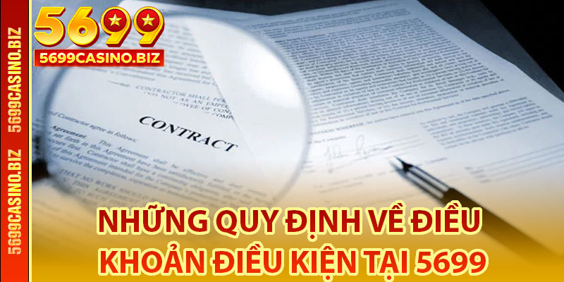 Những quy định về điều khoản điều kiện tại 5699