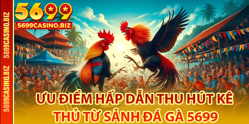 Ưu Điểm Hấp Dẫn Thu Hút Kê Thủ Từ Sảnh Đá Gà 5699